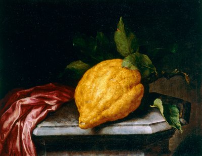 Citron - Bartolomeo Bimbi